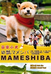 Mameshiba (Japanese Movie DVD)