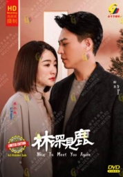 Nice To Meet You Again (Chinese TV Series)