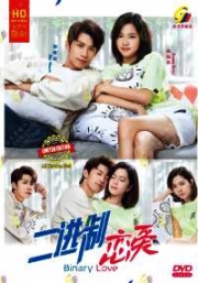 Binary Love (Chinese TV Series)