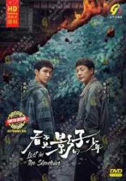 Lost in the Shadows (Chinese TV Series)