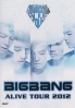 BIG BANG ALIVE TOUR 2012 (DVD)