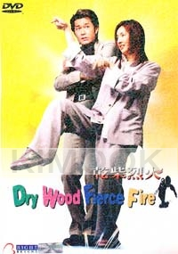 Dry Wood Fierce Fire