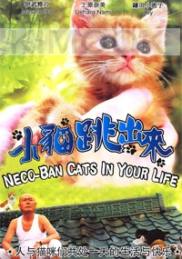Neco-Ban Cats In Your Life (All Region DVD)(Japanese Movie)