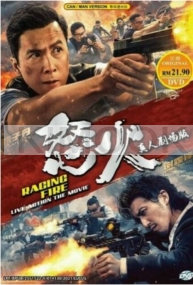 Raging Fire 怒火 (Chinese Movie)