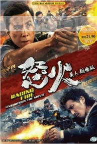 Raging Fire 怒火 (Chinese Movie)