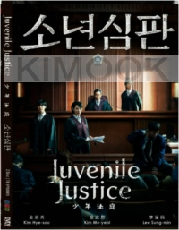 Juvenile Justice (Korean TV Series)