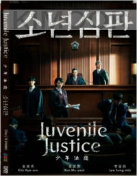 Juvenile Justice (Korean TV Series)