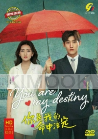 You Are My Destiny 你是我的命中注定 (Chinese TV Series)