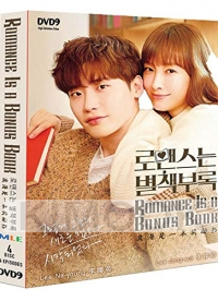 Romance is a Bonus Book (Korean TV Series)