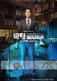 Doctor Lawyer (Korean TV Series)