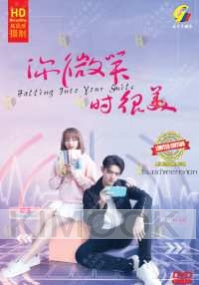 Falling Into Your Smile 你微笑时很美 (Chinese TV Series)