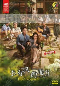 Meet Yourself (Chinese TV Series)