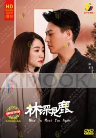 Nice To Meet You Again (Chinese TV Series)