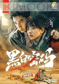 Chase the Truth (Chinese TV Series)