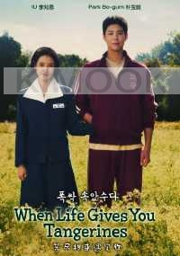 When Life Gives You Tangerines (Korean TV Series)