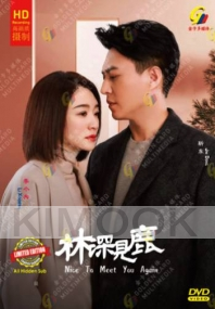 Nice To Meet You Again (Chinese TV Series)