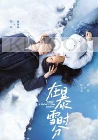 Amidst a Snowstorm of Love (Chinese TV Series)